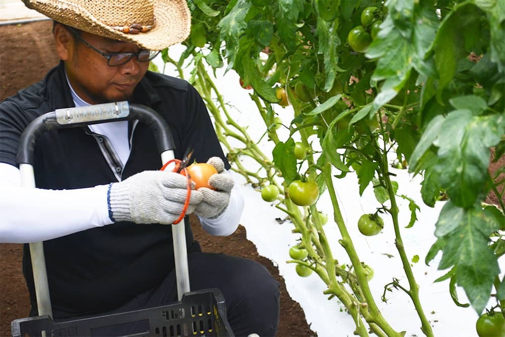 直感とひらめき　　　試作と試験　　　そして検証と検討