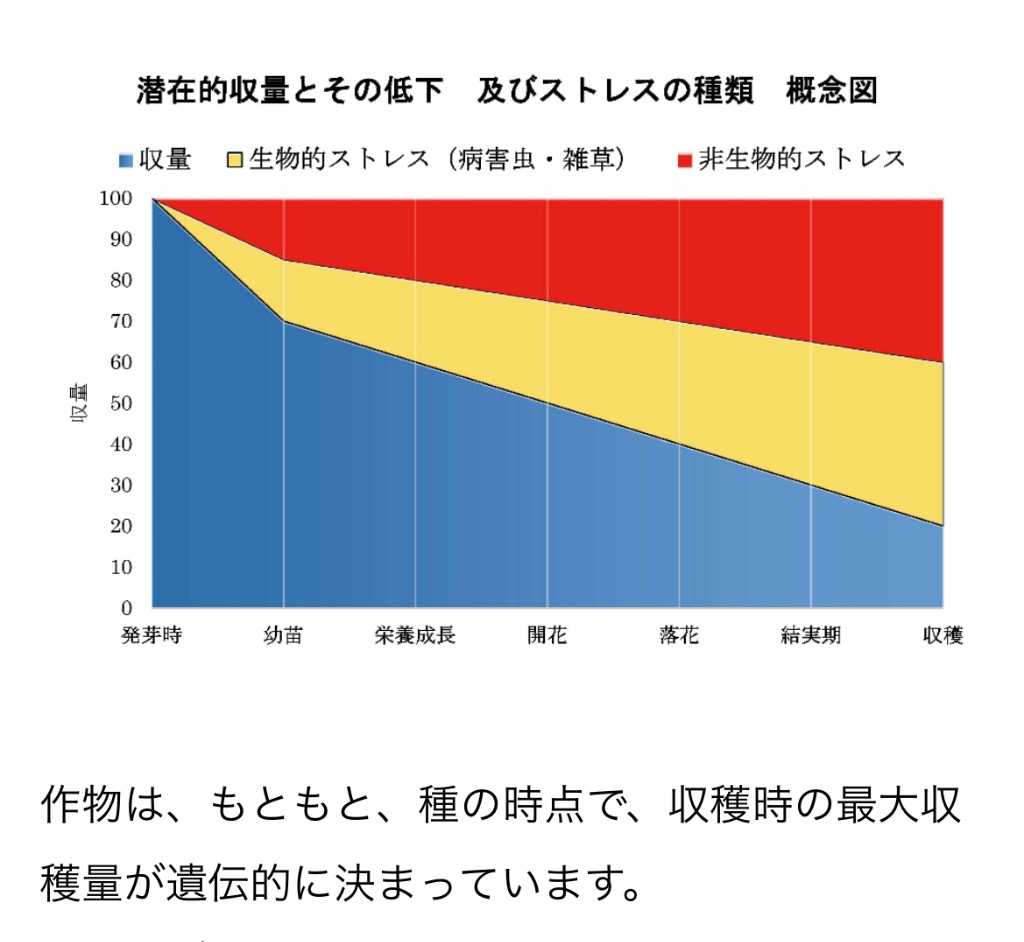 直感とひらめき　　　試作と試験　　　そして検証と検討