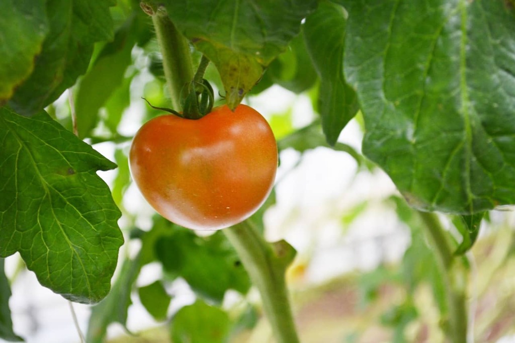 直感とひらめき　　　試作と試験　　　そして検証と検討