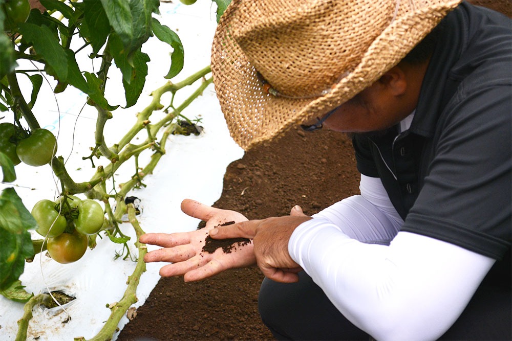 直感とひらめき　　　試作と試験　　　そして検証と検討