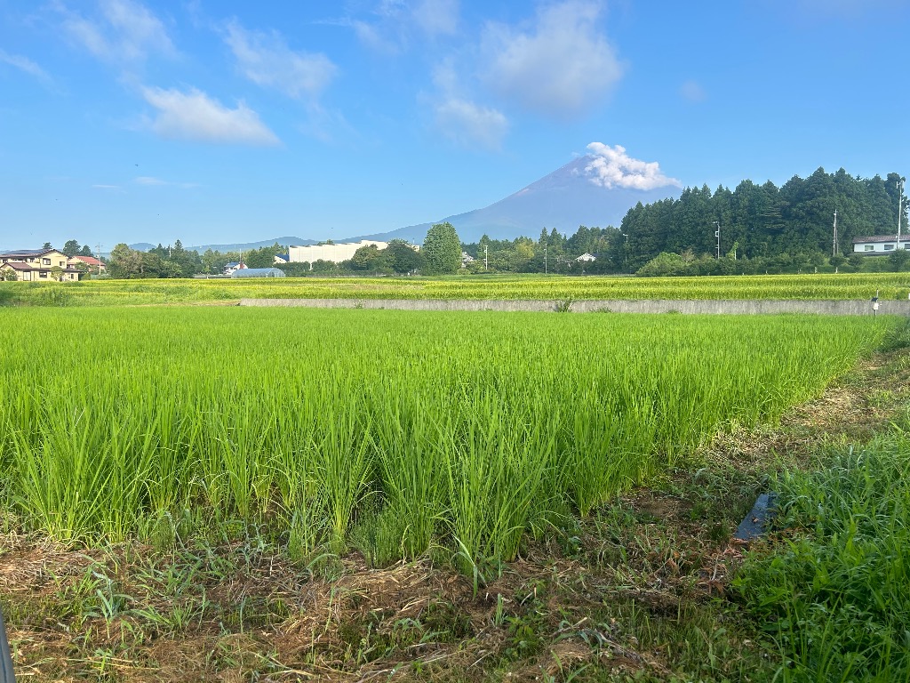 直感とひらめき　　　試作と試験　　　そして検証と検討