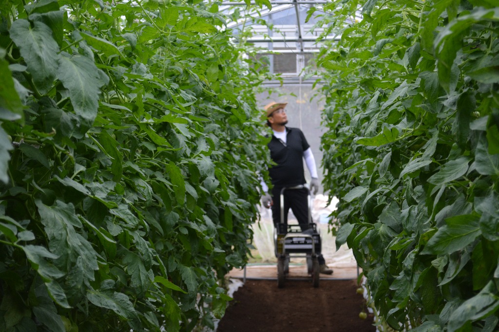 直感とひらめき　　　試作と試験　　　そして検証と検討