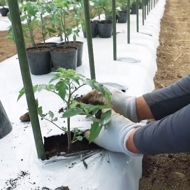 直感とひらめき　　　試作と試験　　　そして検証と検討